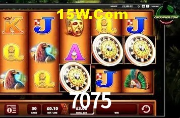 Sistemas de Segurança 7075