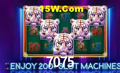 Experiência VIP 7075