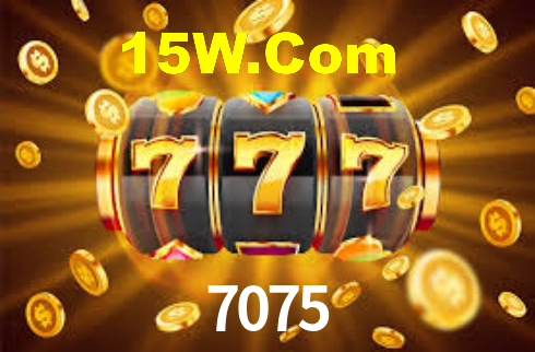 Interface Premium 7075